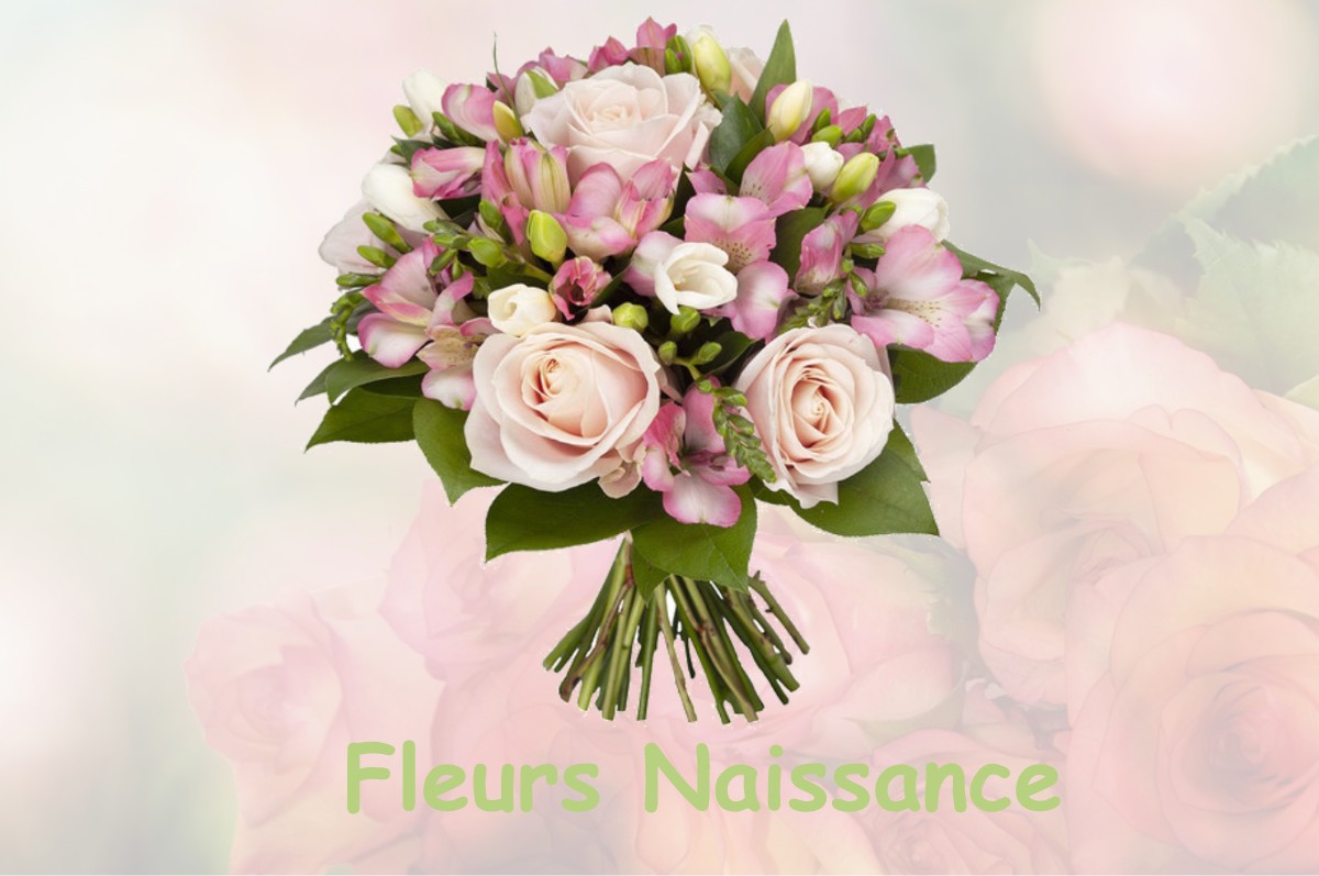 fleurs naissance HAUTE-GOULAINE